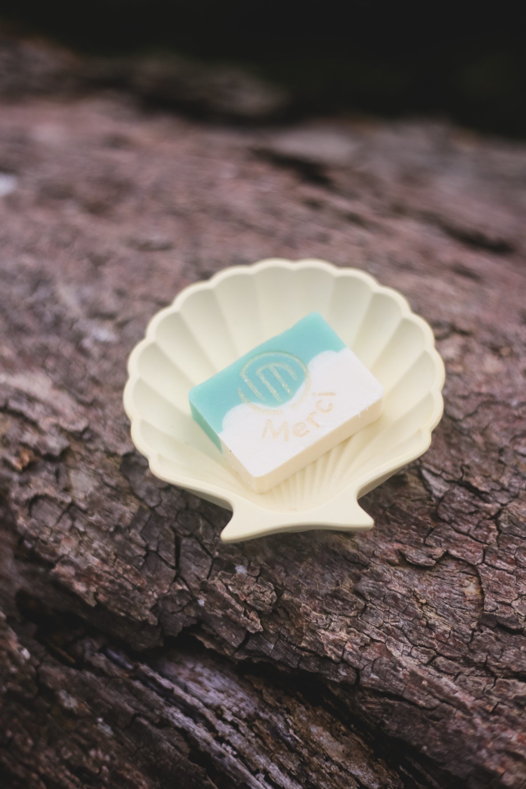 Coquillage et savon merci