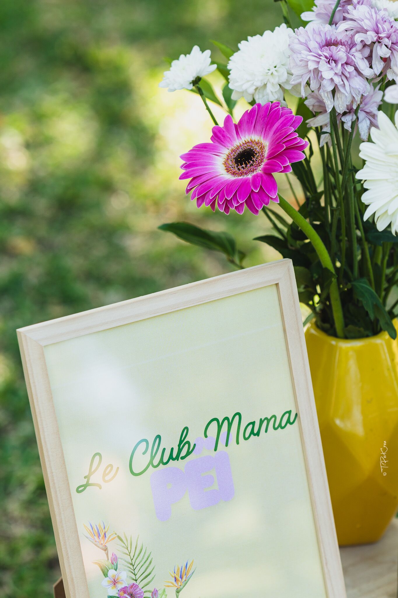 Tableau Club Momon Péï
